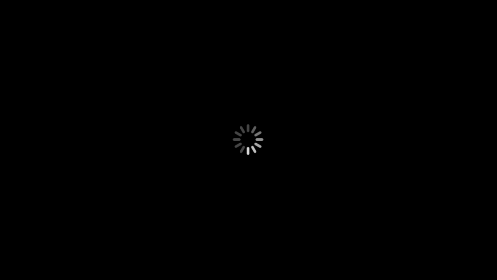 black-screen-spinning-wheel-on-boot